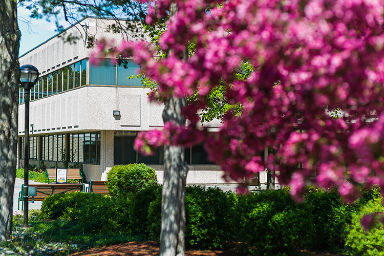 کالج لویالیست | Loyalist